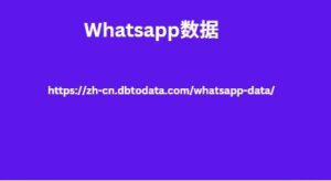 Whatsapp数据 