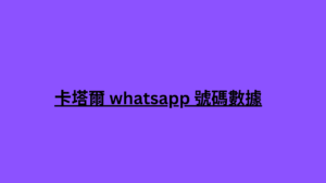 卡塔爾 whatsapp 號碼數據