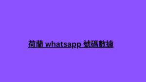 荷蘭 whatsapp 號碼數據